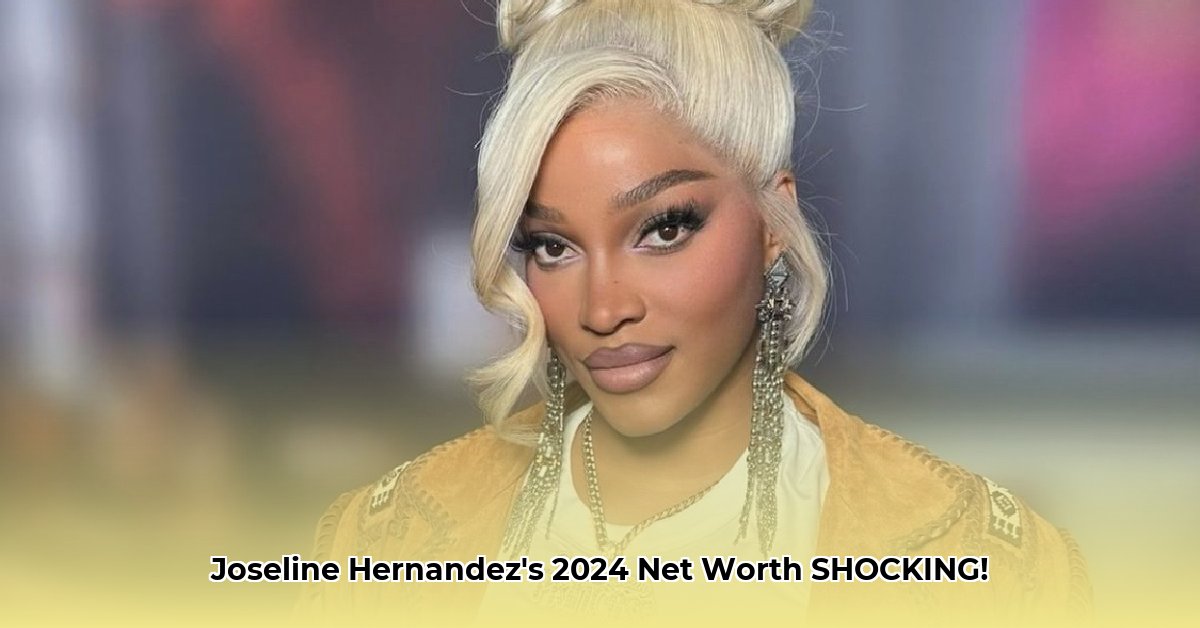 joseline-hernandez-net-worth-2024